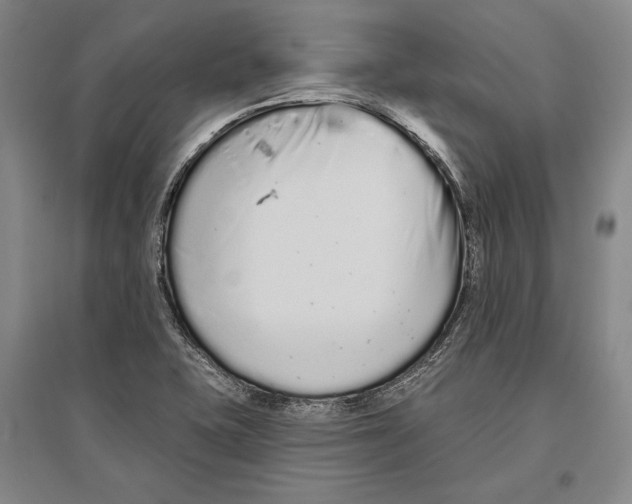 X0000096631415200803041054