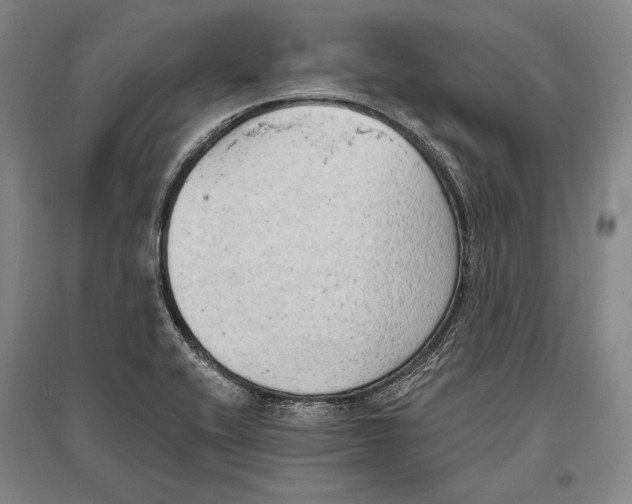 X0000096631416200803041054