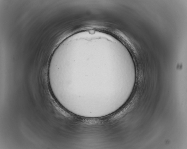 X0000096631417200803041054