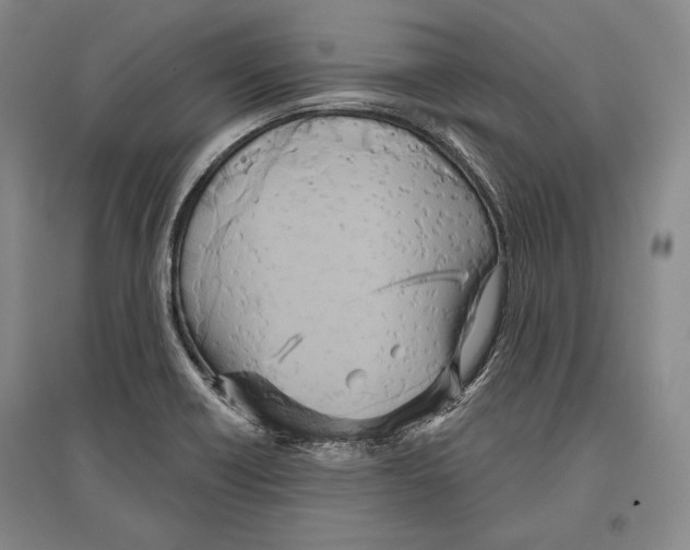 X0000096631418200803041054