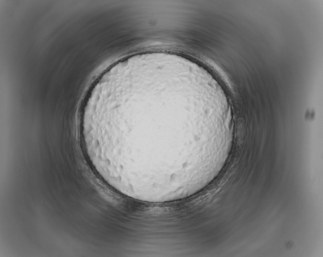 X0000096631419200803041054