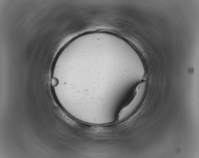 X0000096631420200803041054