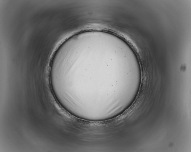 X0000096631421200803041054