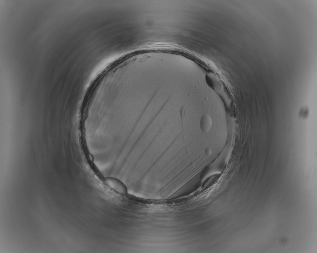 X0000096631422200803041054