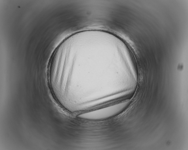 X0000096631423200803041054