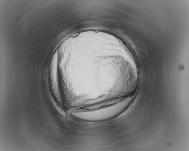 X0000096631425200803041054