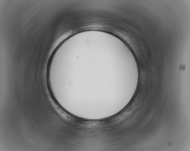 X0000096631426200803041054