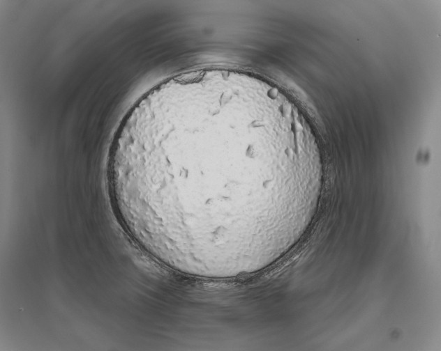 X0000096631427200803041054