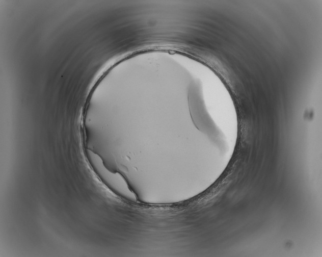 X0000096631428200803041054