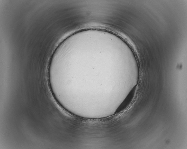 X0000096631429200803041054