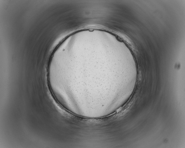 X0000096631430200803041054