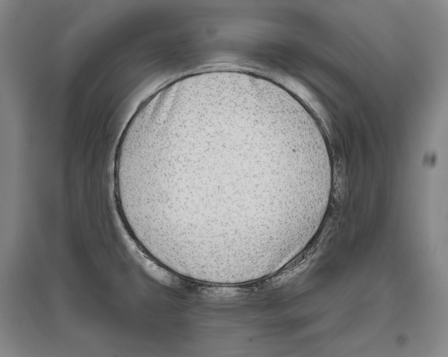 X0000096631431200803041054