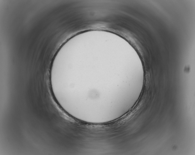 X0000096631432200803041054