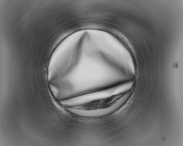 X0000096631433200803041054