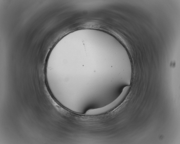 X0000096631434200803041054