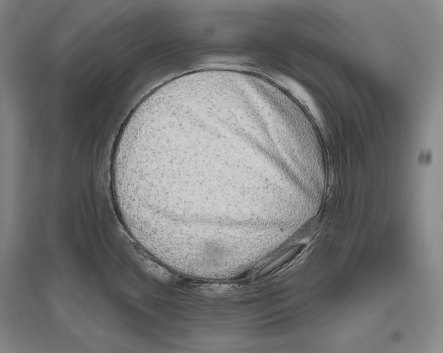 X0000096631435200803041054