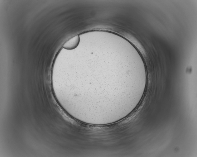 X0000096631436200803041054