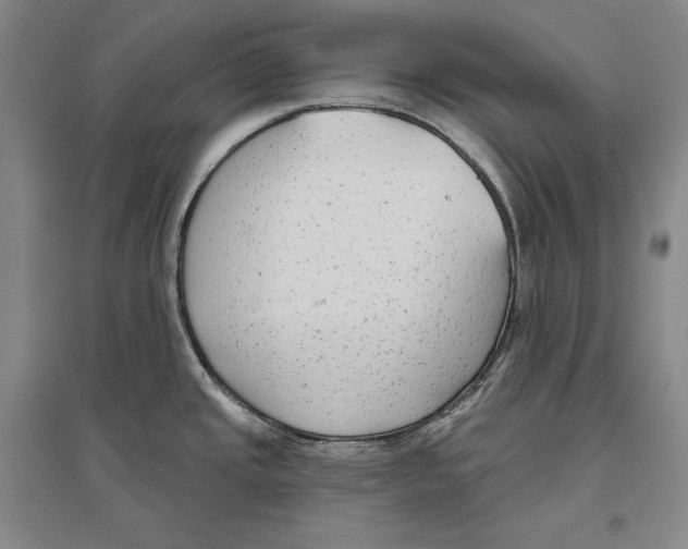 X0000096631437200803041054