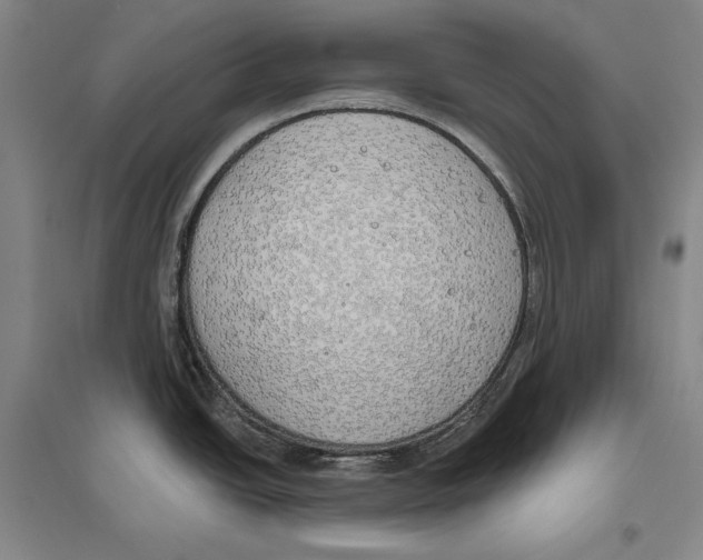 X0000096631438200803041054