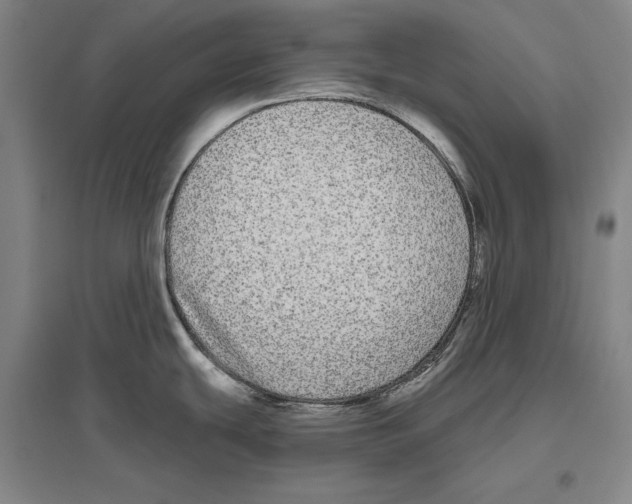 X0000096631439200803041054