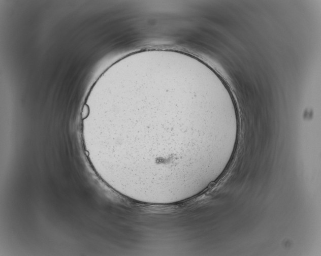 X0000096631440200803041054