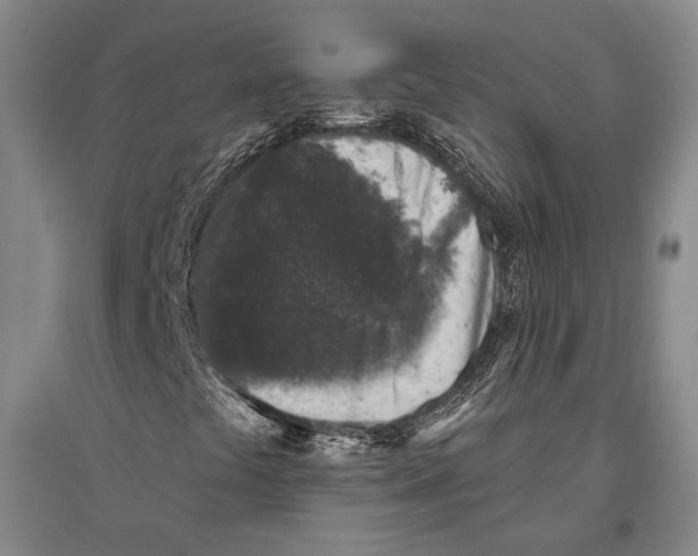 X0000096631441200803041054