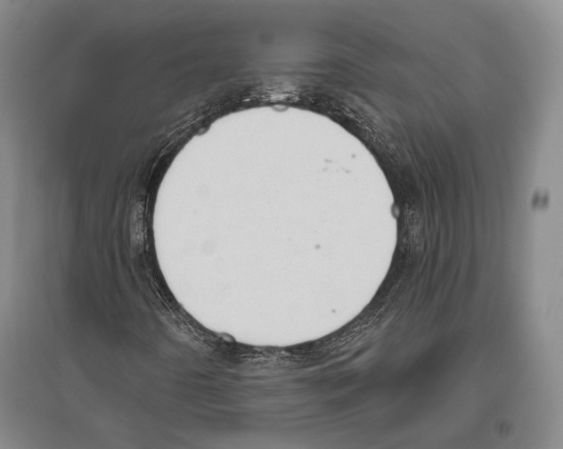 X0000096631442200803041054