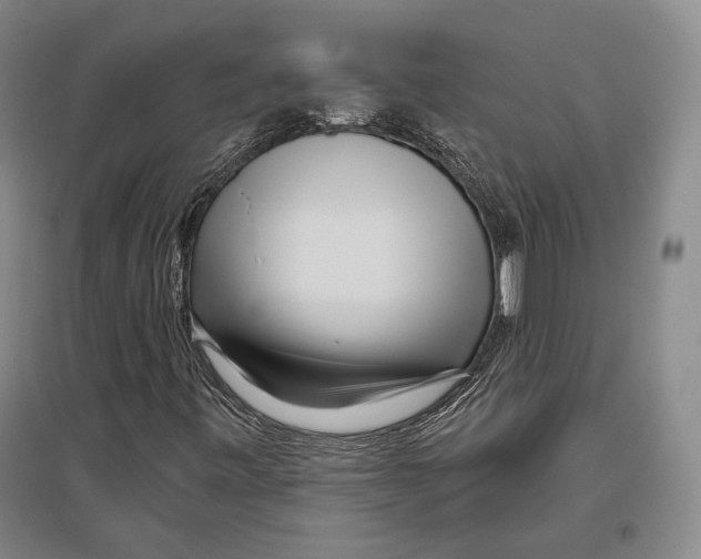 X0000096631443200803041054