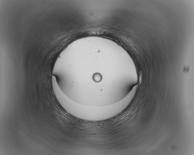 X0000096631444200803041054