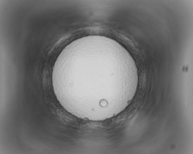 X0000096631446200803041054