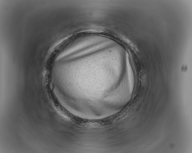 X0000096631448200803041054