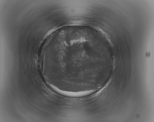 X0000096631449200803041054