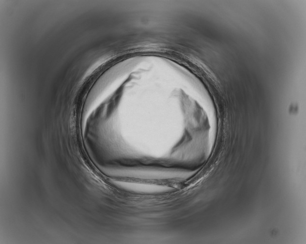 X0000096631450200803041054