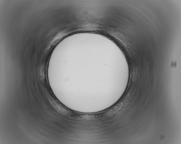 X0000096631451200803041054