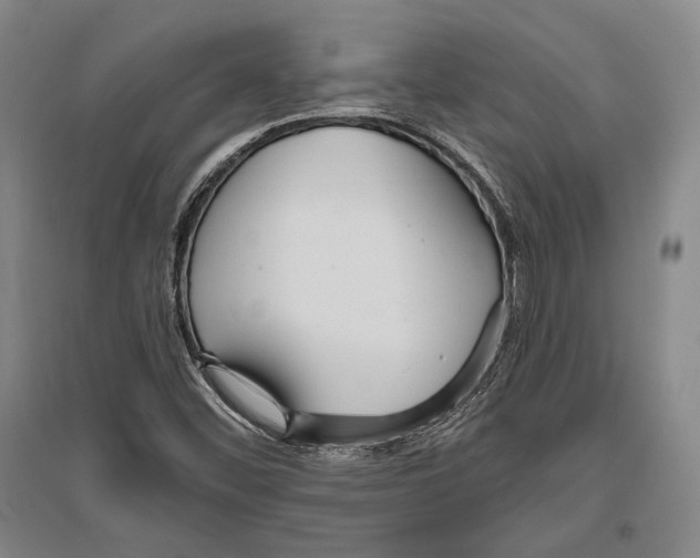 X0000096631452200803041054