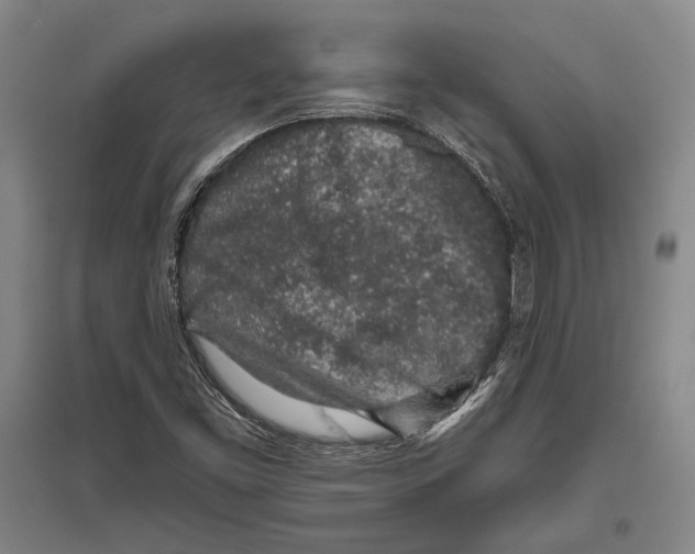 X0000096631453200803041054