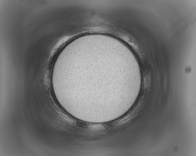 X0000096631454200803041054