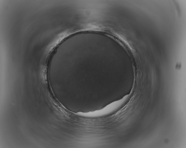 X0000096631455200803041054