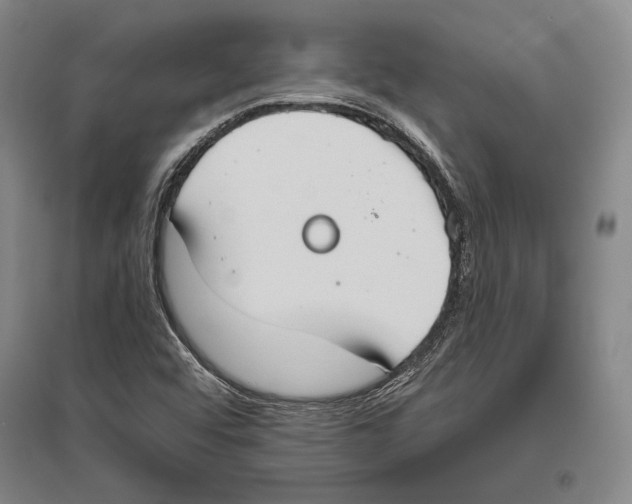 X0000096631456200803041054