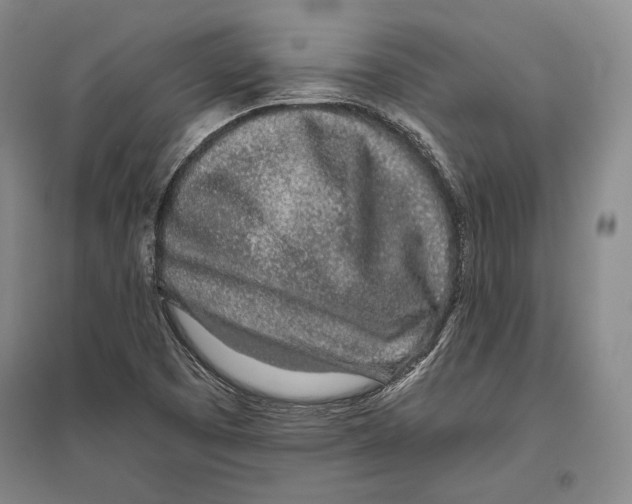 X0000096631457200803041054