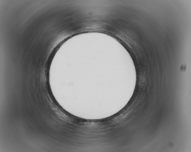 X0000096631458200803041054