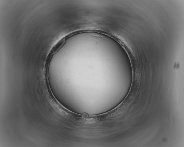 X0000096631460200803041054
