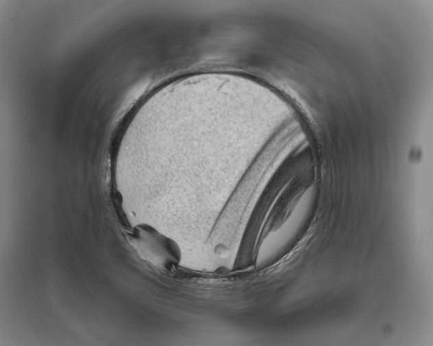 X0000096631461200803041054