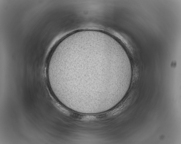 X0000096631462200803041053