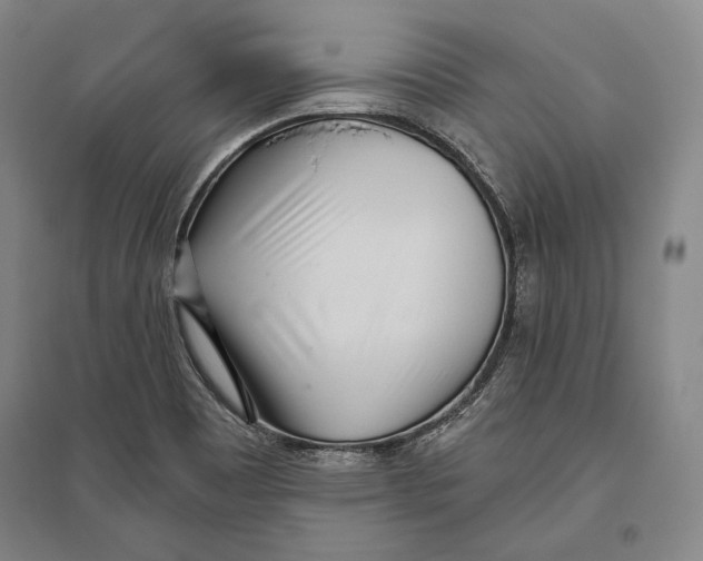 X0000096631465200803041053