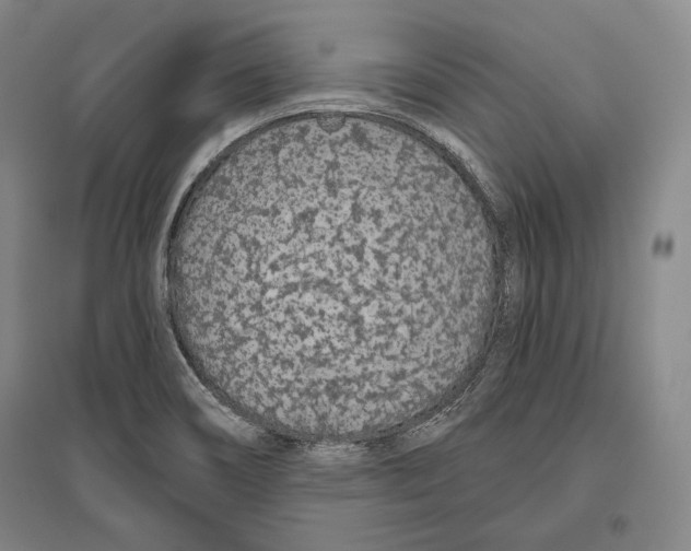 X0000096631466200803041053
