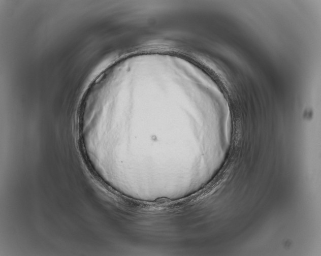 X0000096631467200803041053