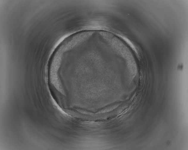 X0000096631468200803041053