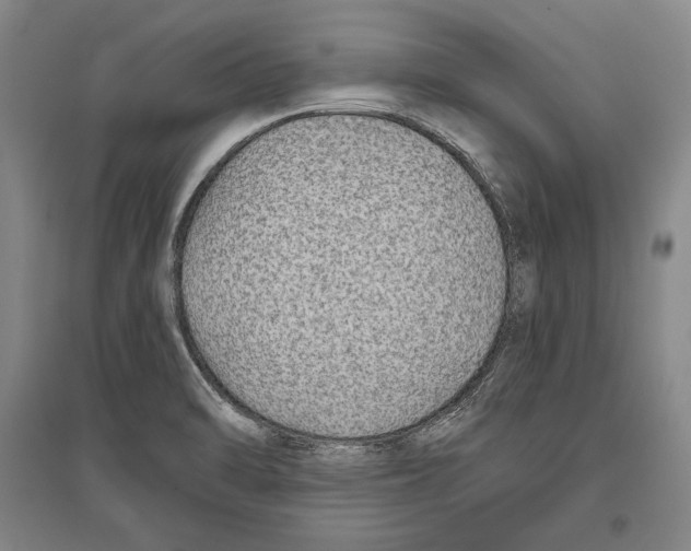 X0000096631470200803041053