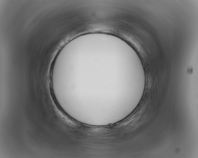 X0000096631471200803041053